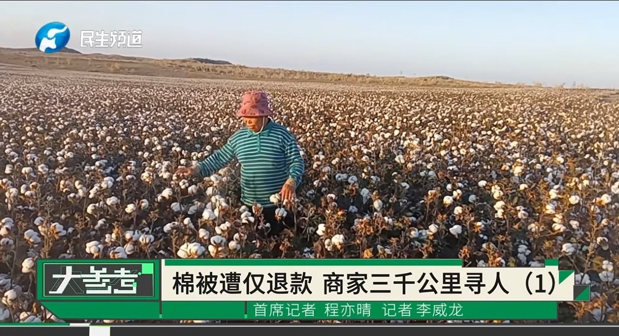 有时候仅退款确实不合理。刷到一阿姨网店卖棉被遭遇仅退款，她一气之下3000公里寻