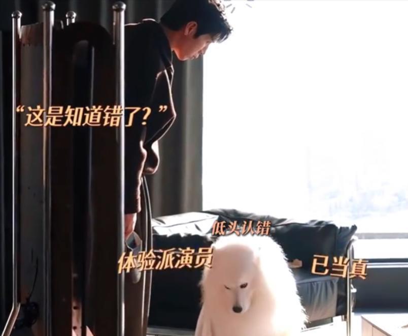 早春晴朗：卢克驯服栾念！原来，栾念花掉5000块藏着最狠的温柔 ​​​