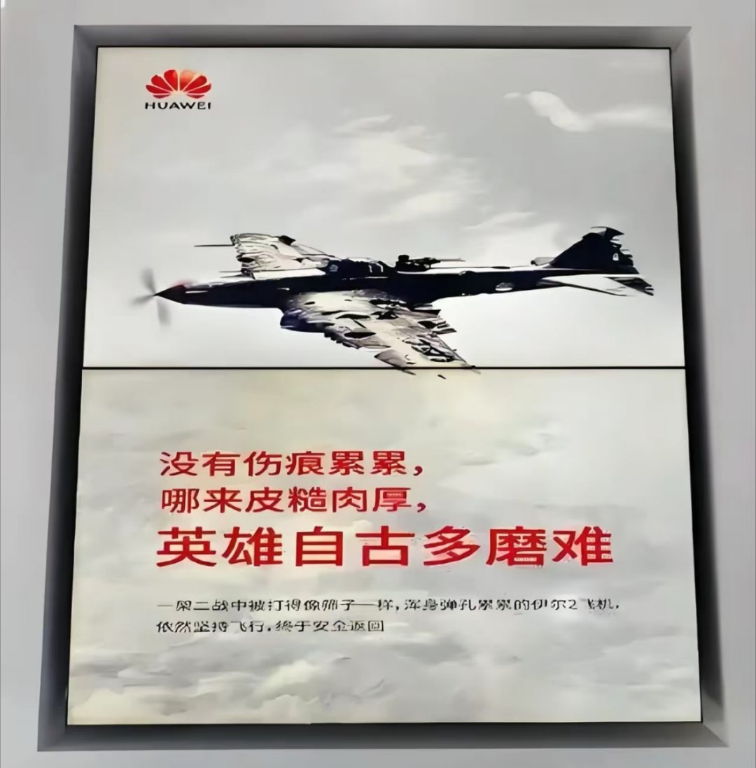 华为在前面冒着敌人的炮火开山辟路，勇往直前。一群狗汉奸们在背后不仅冷嘲热讽，而且