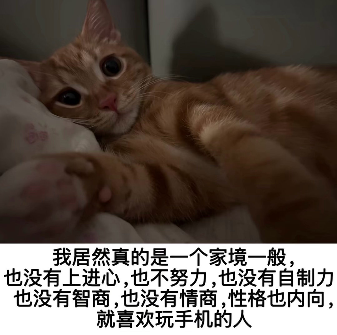 这个文字有点痛怎么回事今日memesfunny memememe ​​​