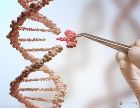 人都是女人生的，在没有人类之前，第一个女人又是从哪里来的？

“我是从哪里来的？