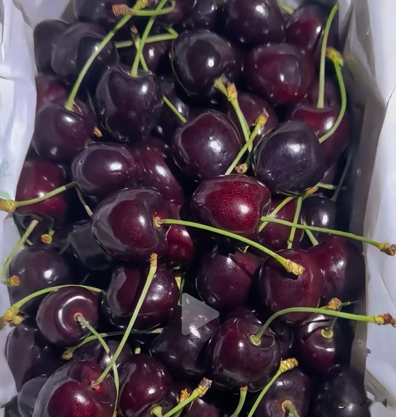 智利车厘子估计很快就吃不上了！目前智利新总统好像跟咱不太友好。我们现在市场上很多