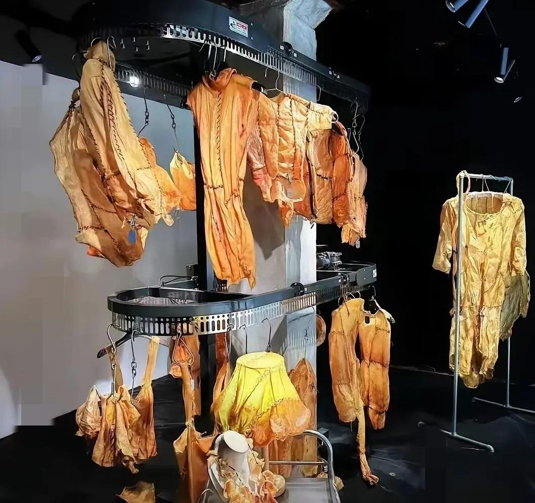 上海那个三天就关门的艺术展，简直是把惊悚当创意玩的翻车现场！当观众看着那些疑似人