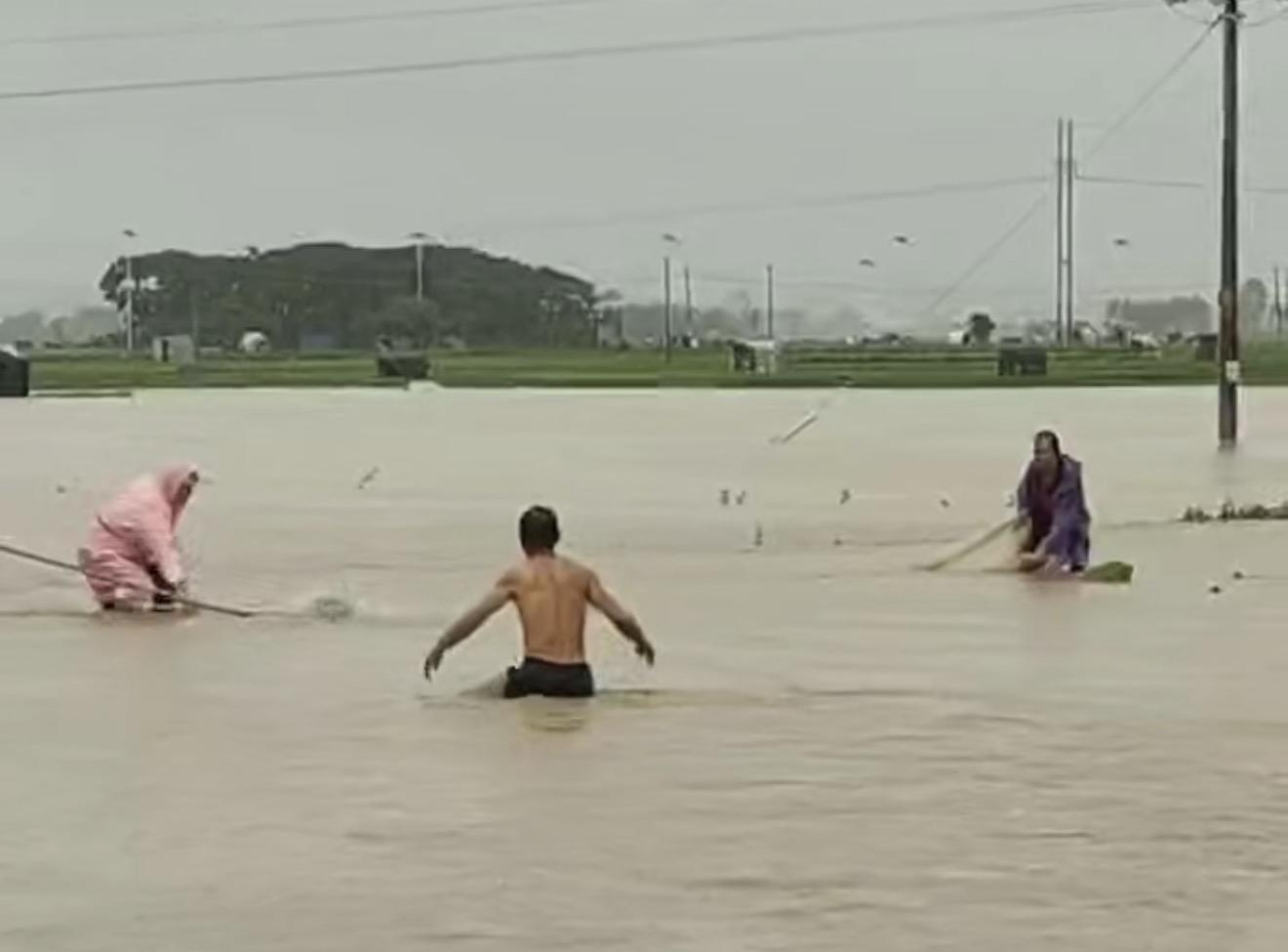 【#养蛇场逃出的大多是无毒水律蛇#】#被蛇咬伤村民正在抢救#“洪水发生后，当地部