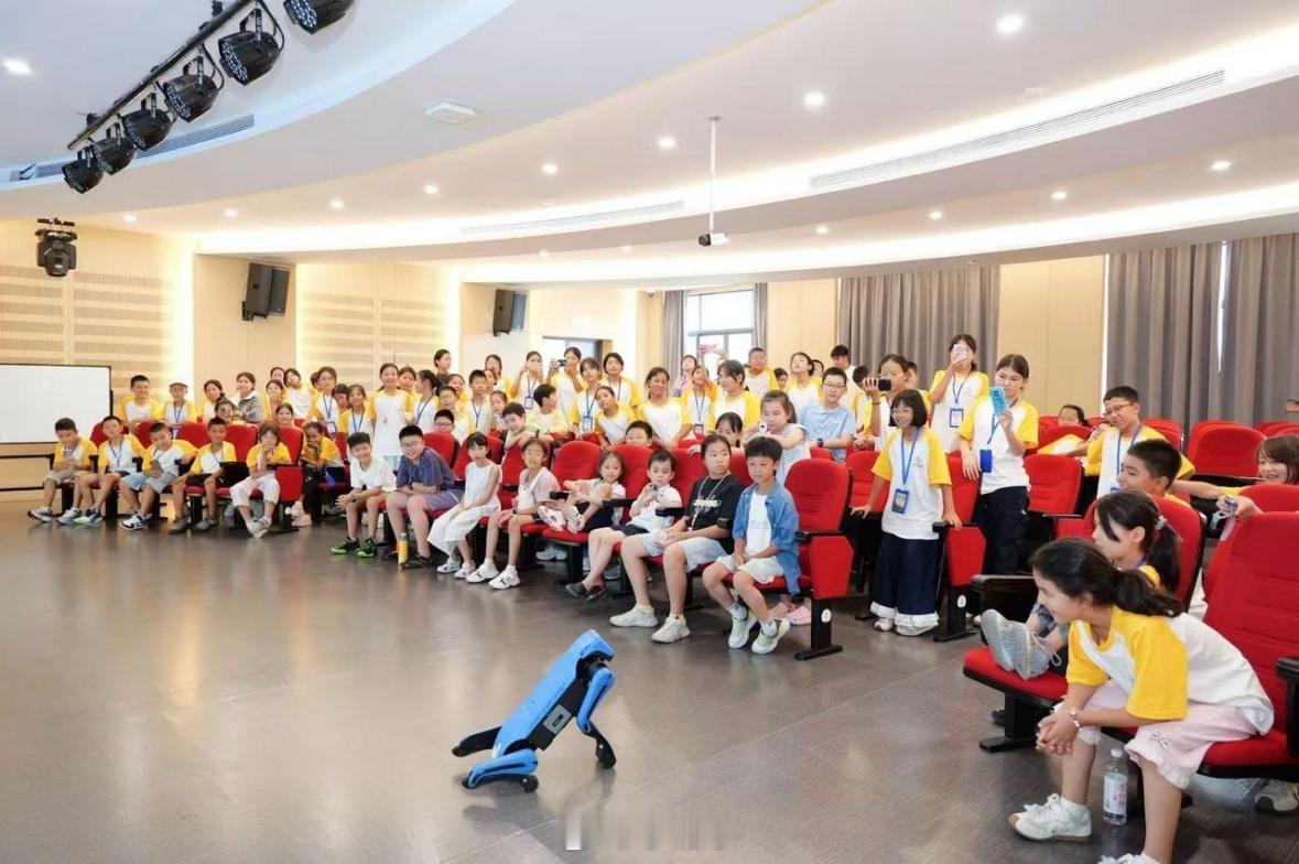 宁波搭科创桥梁拉近甬库少年的距离一场跨越山海的科创相遇，在宁波工程学院机器人学院