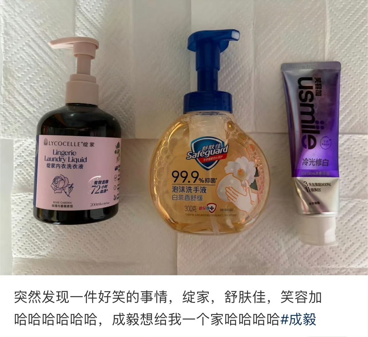 hhhh太有才了，没毛病，成毅想给我们一个“家”[哈哈][哈哈]😂😂😂 ​