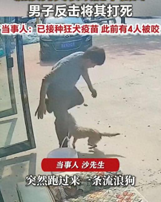 “太可怕了！”10月30日报道，河南商丘，一男子给鱼缸换水时，突然被一条来历不明
