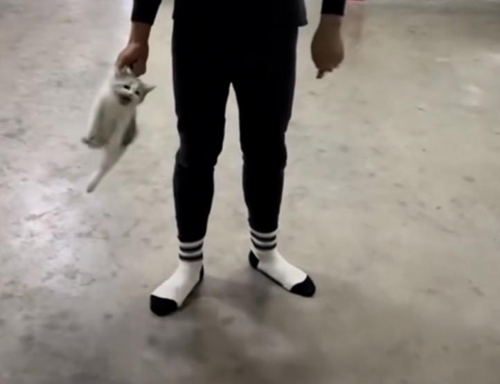 学生在宿舍里私自养猫，在被学校教官发现之后，教官竟然当众把小猫给摔死！
初看这起