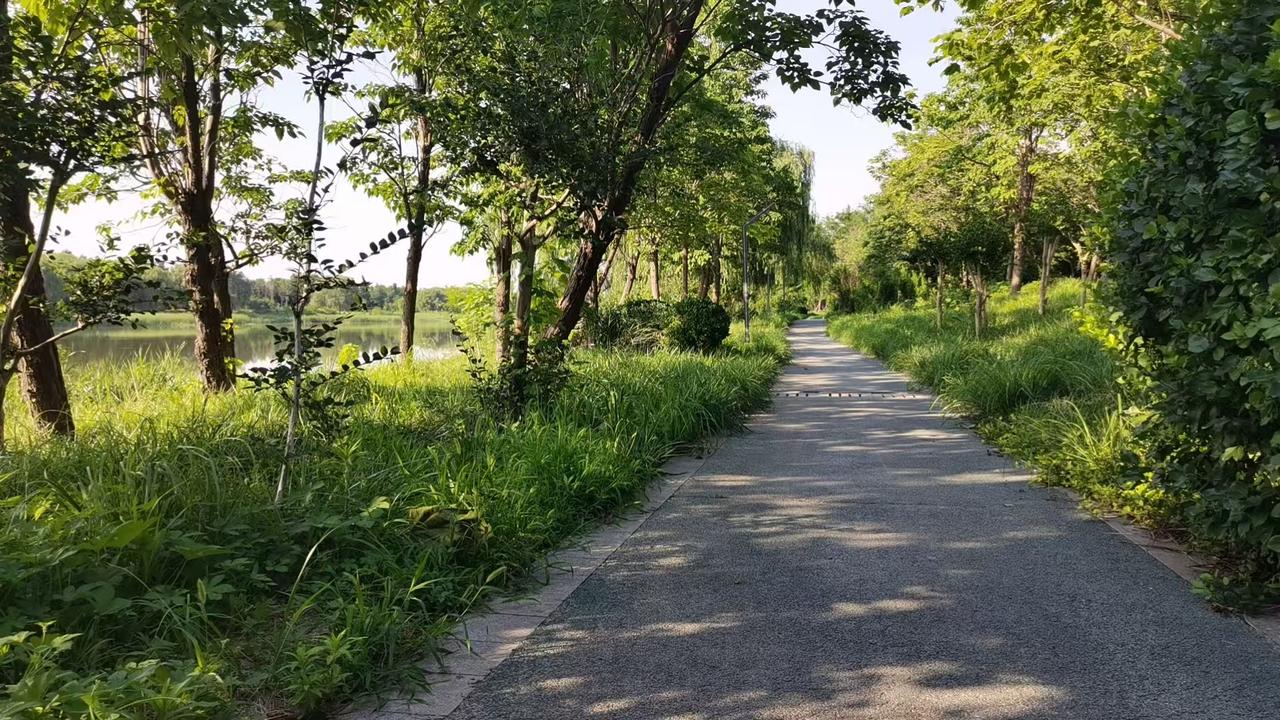 形意拳的拧裹钻翻，
胳膊呢，
就是一根带弯的钢筋，
翻来翻去而已，
整个胳膊的筋