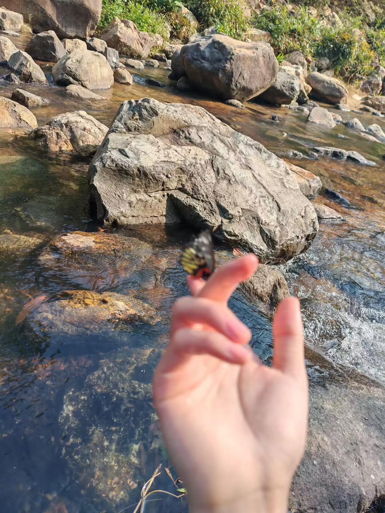 你认为,生命中最重要的是什么?     
凡是自然的东西都是缓慢的。太阳一点点升