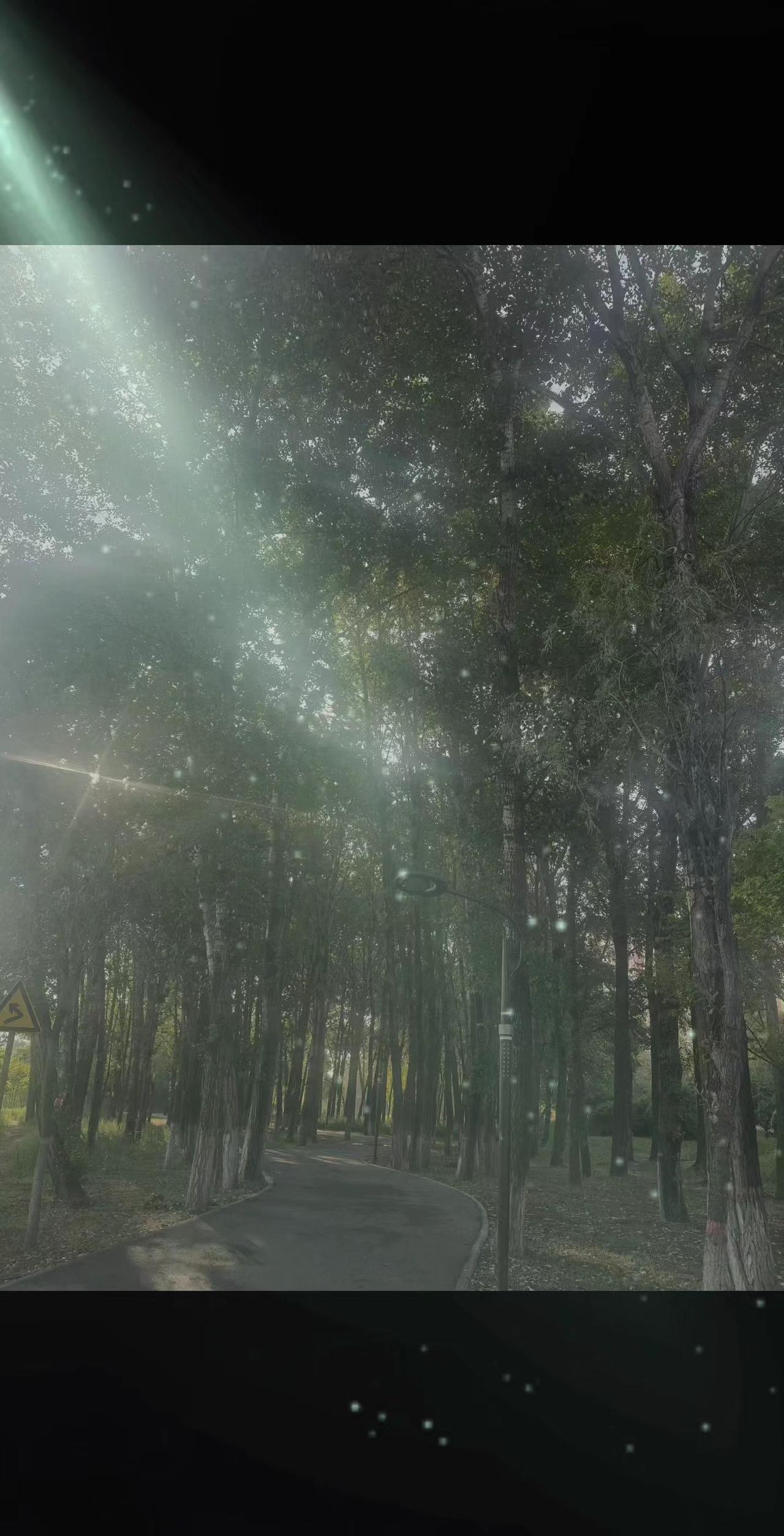 好想挖个坑，把自己埋了，活着好累…