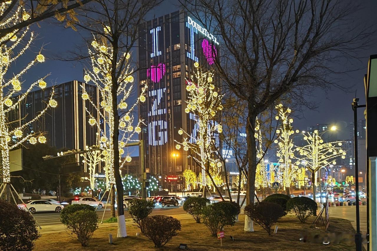 自贡的灯，到处一样，园里园外没有区别，就看你如何去体会。自贡的灯，应该是楚楚动人