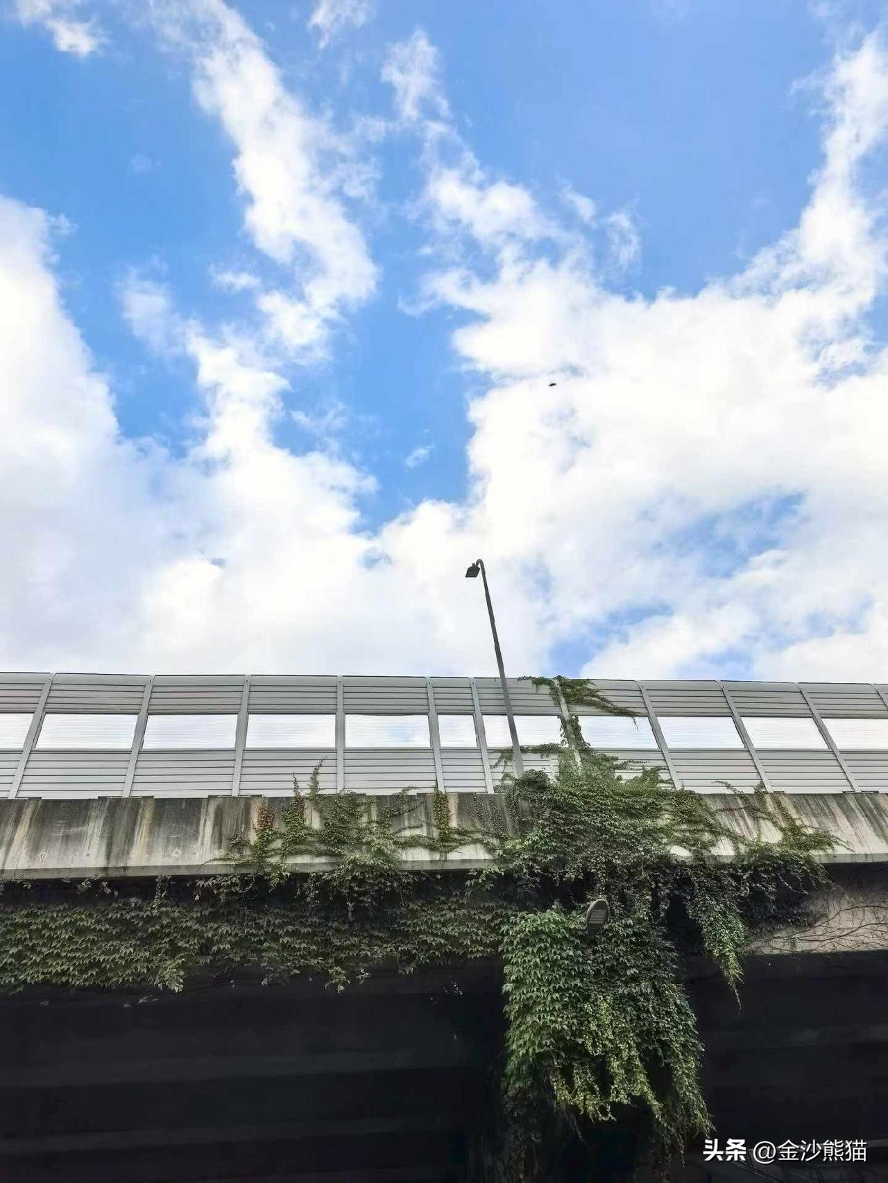 乘BRT下来，走过东湖公园，入目皆是风景，走走看看拍拍，应景那句“慢一点，美才来