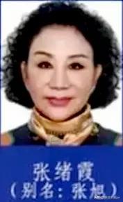 图中女子曾是哈尔滨著 名女企 业 家。

她叫杨绪霞，别名杨旭。

曾获荣誉：