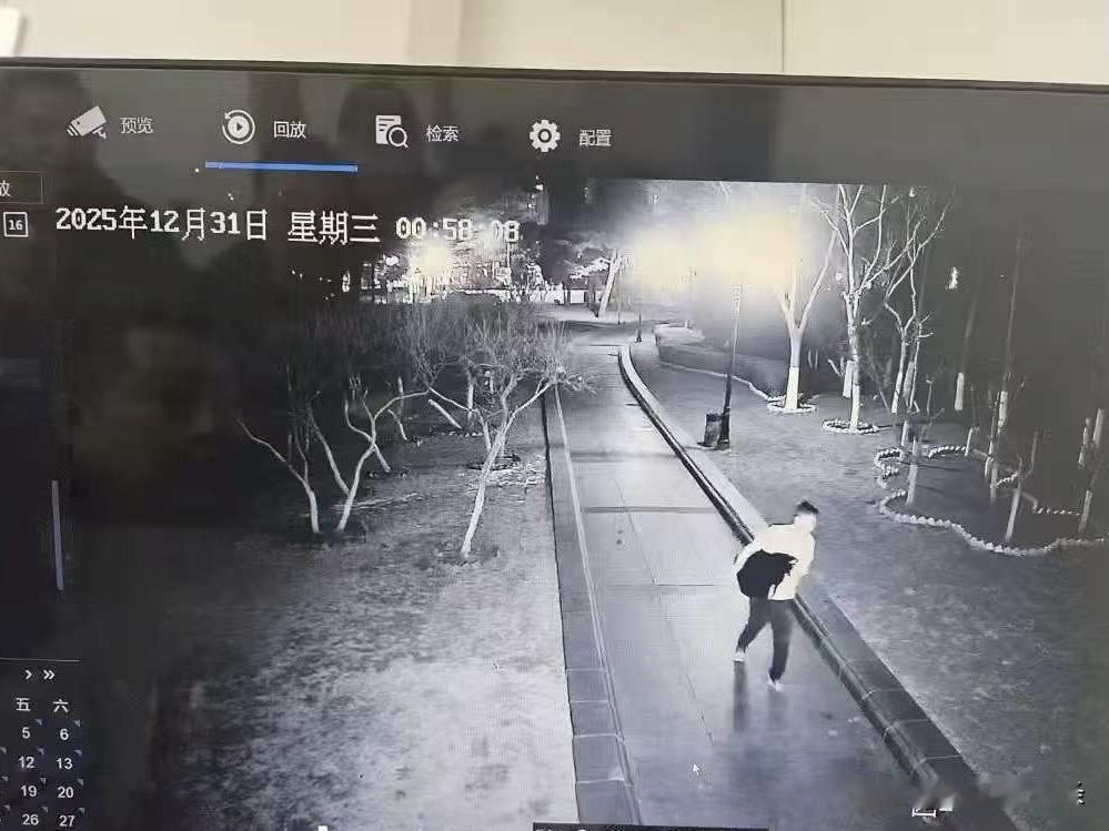 公园黑天鹅被偷后，市民购来两对放生，园方：不希望变成天鹅湖这一事件引发了众多市民