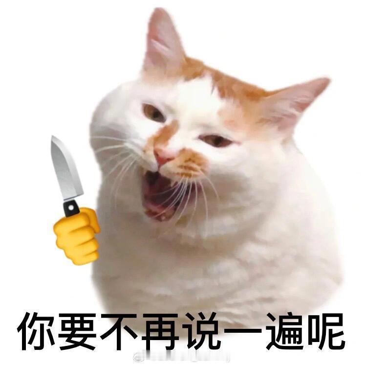 叫了个顺风车，然后司机是库里球迷……司机：我很喜欢库里，詹姆斯么，就看他图个乐，