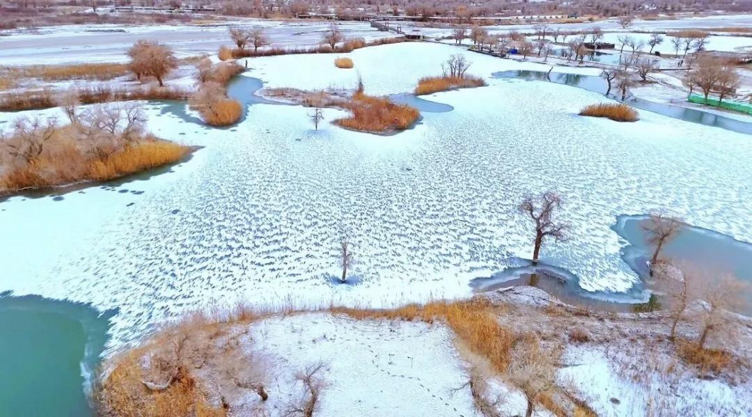 【现货黄金又向下跌破4900美元，日内下跌1.88%，现货白银日内跌超4%】
 