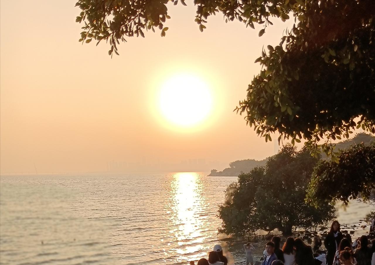 分享一张最近随手拍的照片