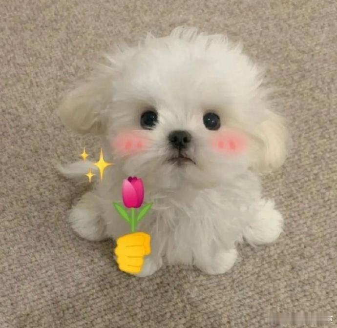 仇人租到这种房我也释怀了整体环境又破又挤，没有一点舒适感可言，身处这样的生活环境