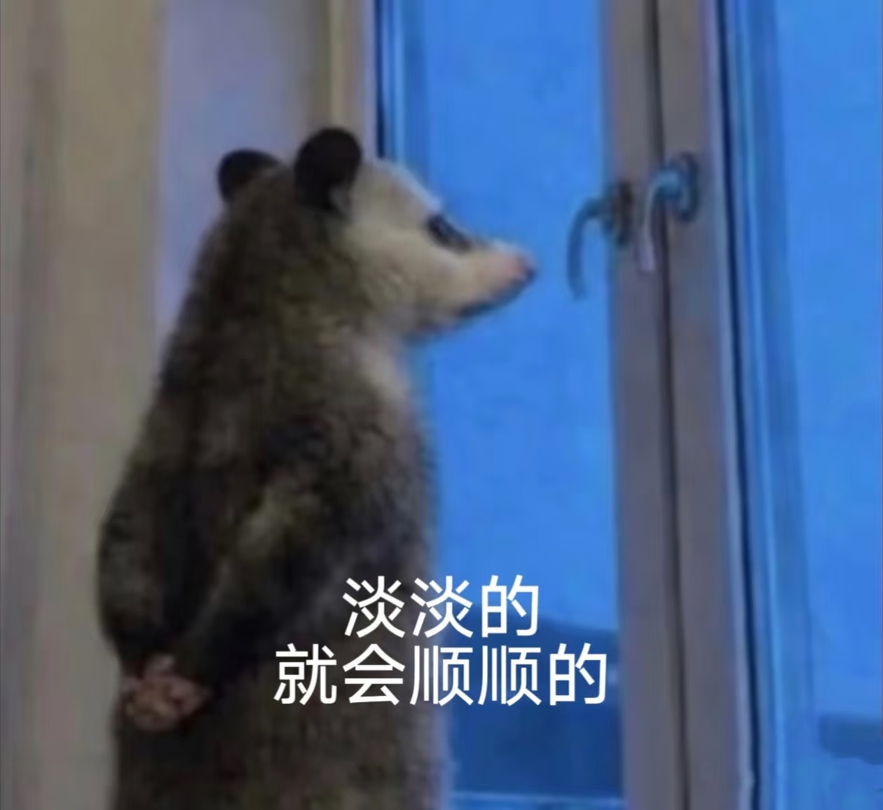 看到去年今日又开始感叹时间过得好快竟然就已经一年了...躺在床上反思我之前爱老狼