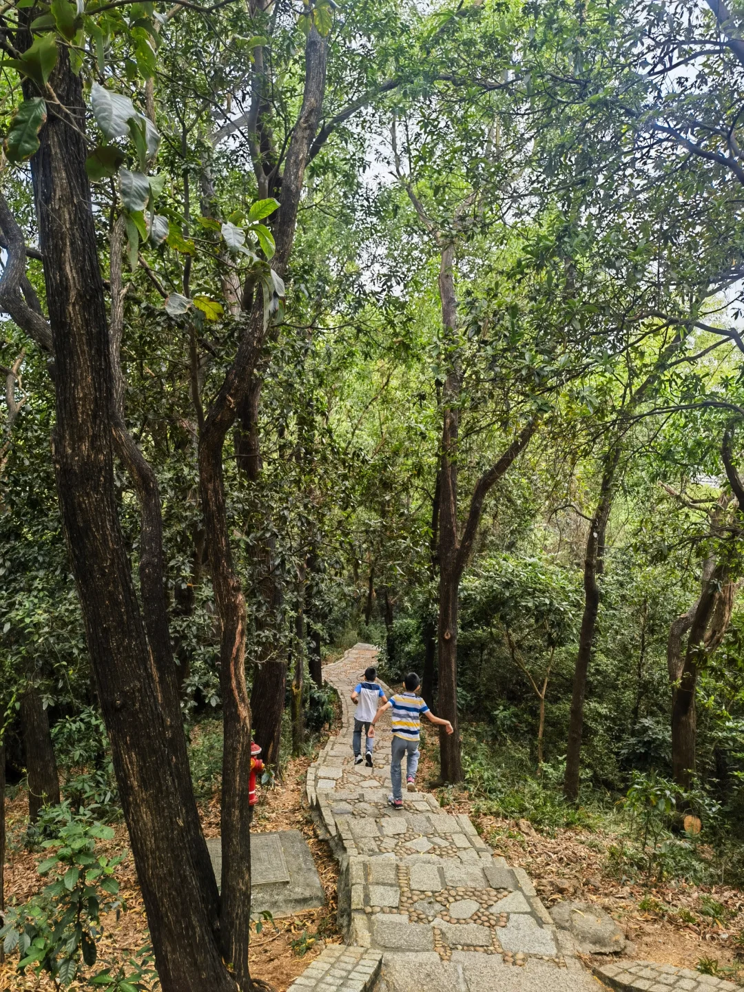 卷体育：不仅每周一山，我们还每日一跳！