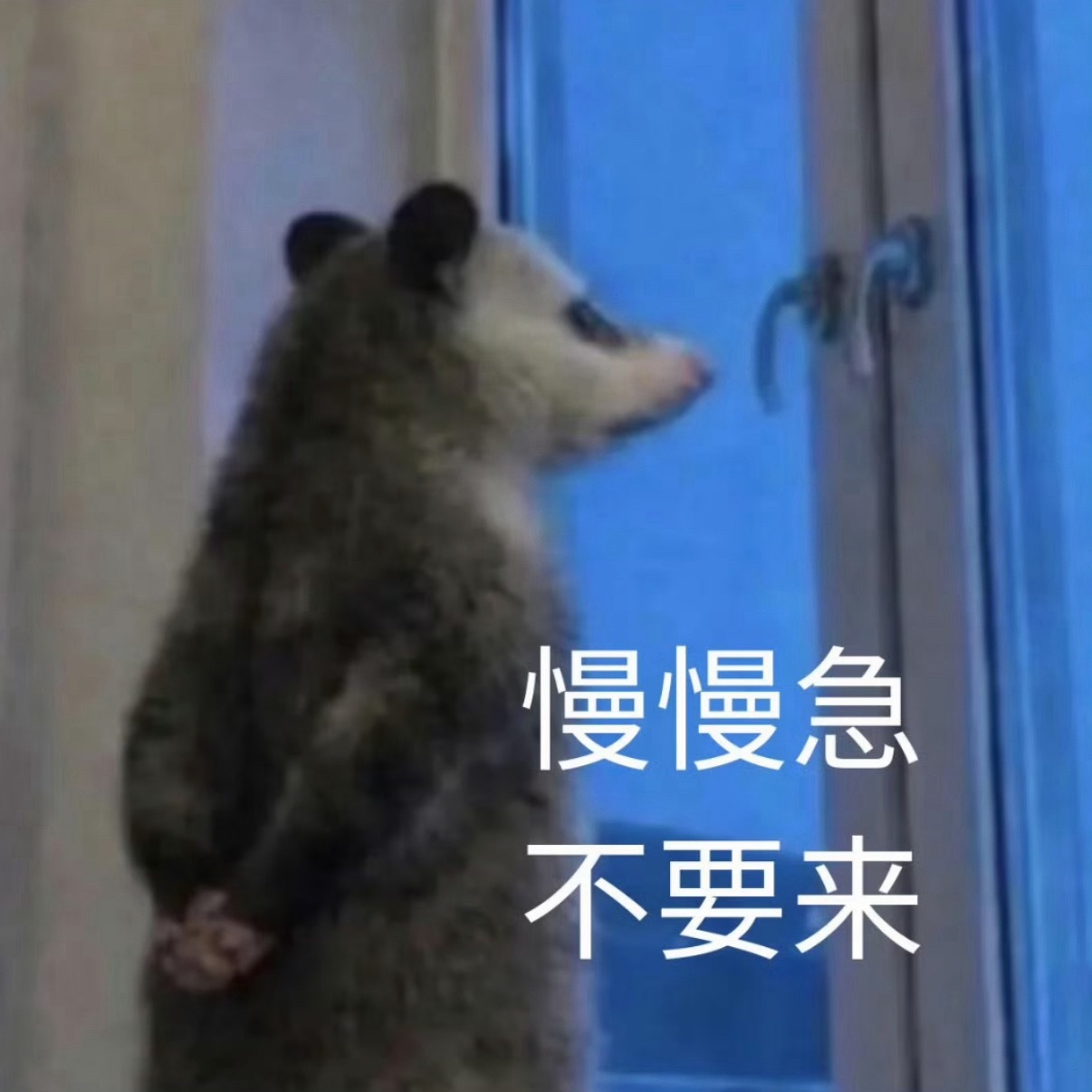 金银终于猛涨你管这叫猛涨？不过是回光返照罢了，国际金又跌了，国内下周还会跌回80