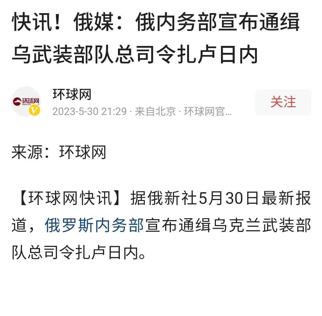 俄罗斯通缉乌军总司令？
刚看到环球网的新闻，说是俄罗斯内务部正式通缉乌克兰武装部