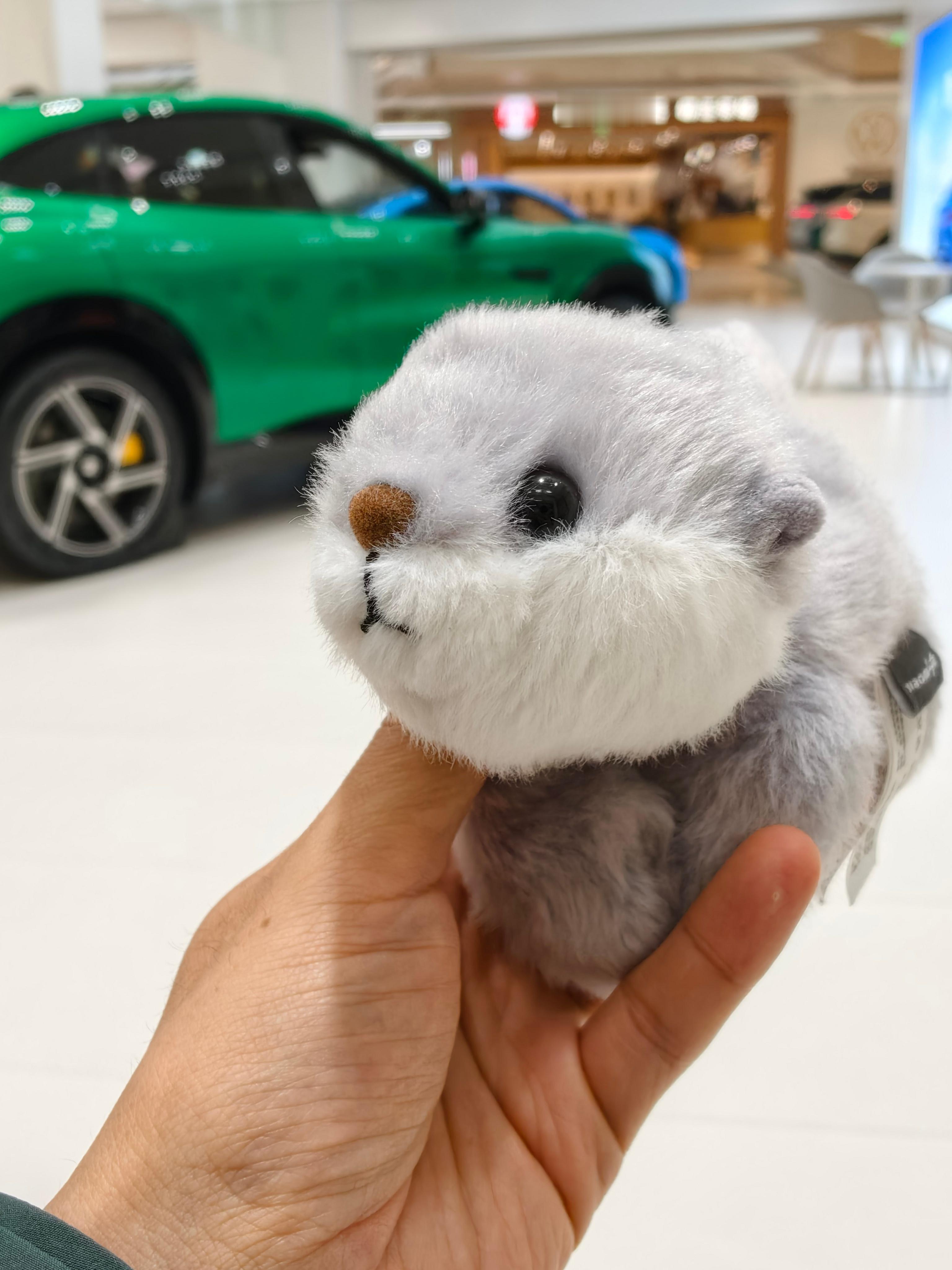 小米汽车配的这个NFC磁吸萌宠挺可爱店里说，因为过于可爱，已经丢了一个，也不知道