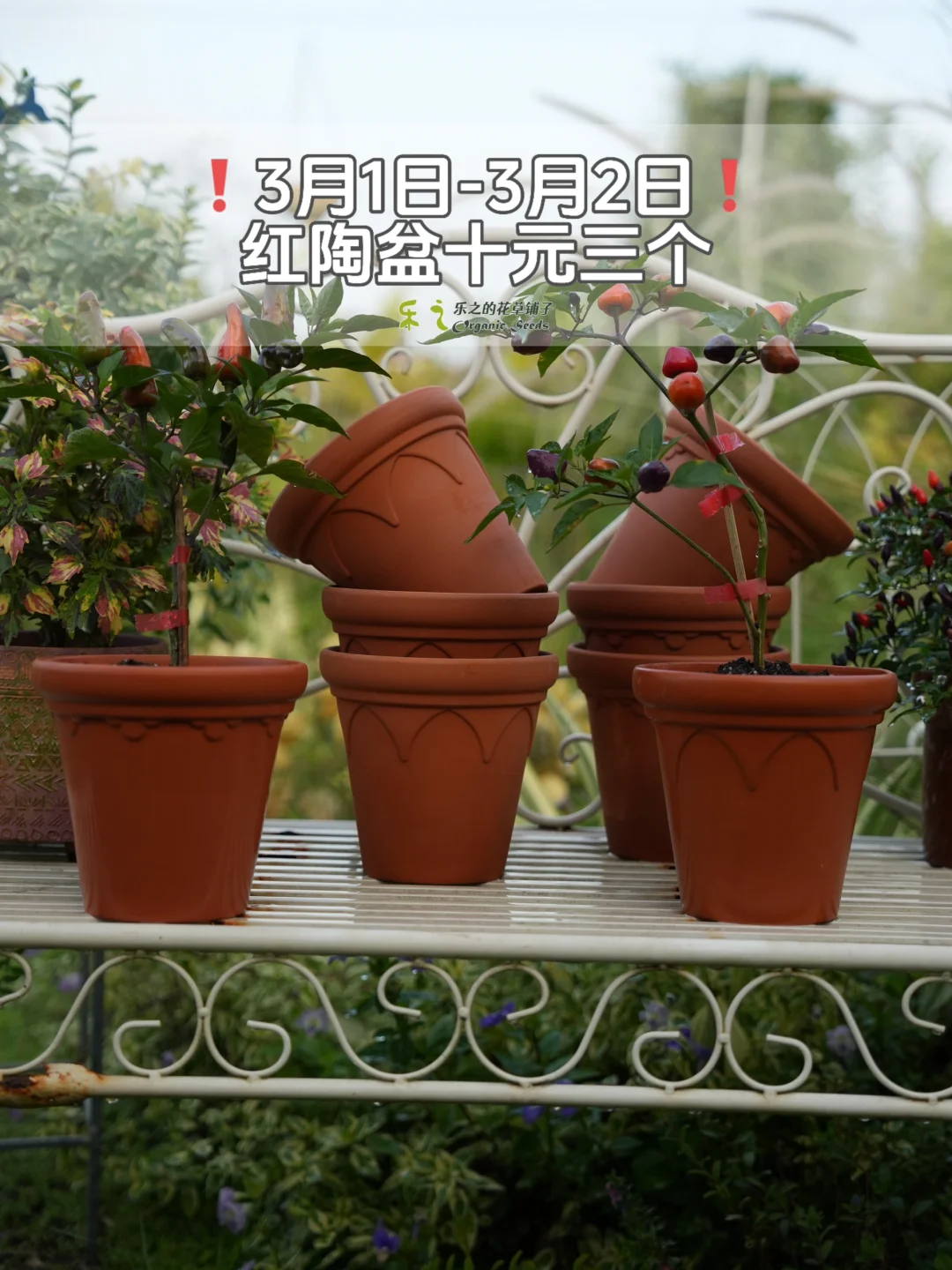 【陶盆】10元3个❗️❗️❗️打骨折❗️❗️❗️
