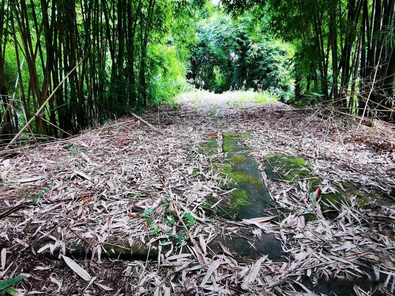 三江桥位于隆昌市黄家镇广安村，始建于明代，横跨于三江河，呈东西走向。原为两跨孔桥