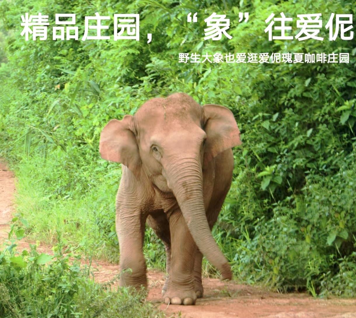 真实生活分享计划