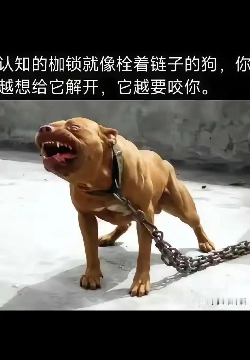 反正用在特朗普，普京，高市早苗身上，完全适用。

至于你我他，嘿嘿嘿，俺笑而不语