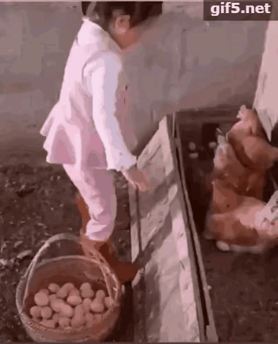 主人啊！我可是功臣，能对我温柔点吗？