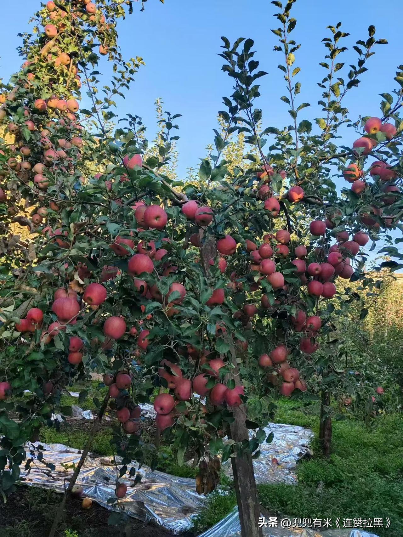 夫妻之间
离不开的三大问题：
真正能把日子过一辈子的夫妻。
都绕不开这三个“坎”