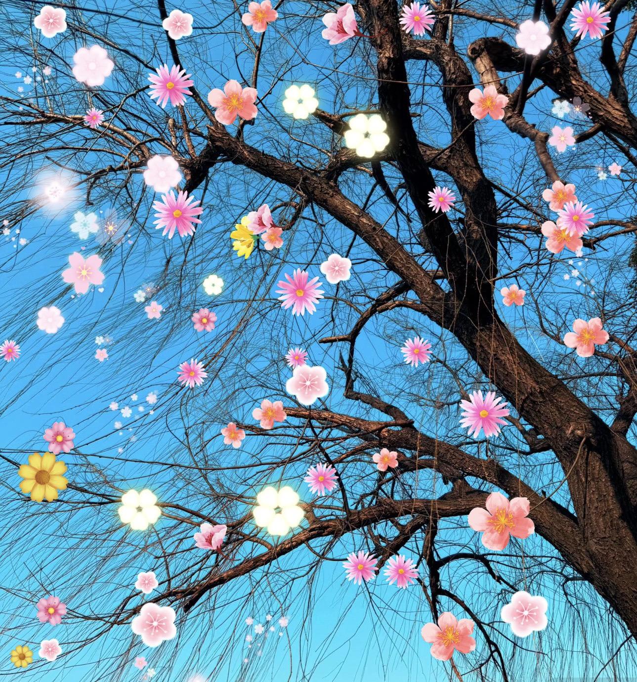 满屏春天愿你一路繁花