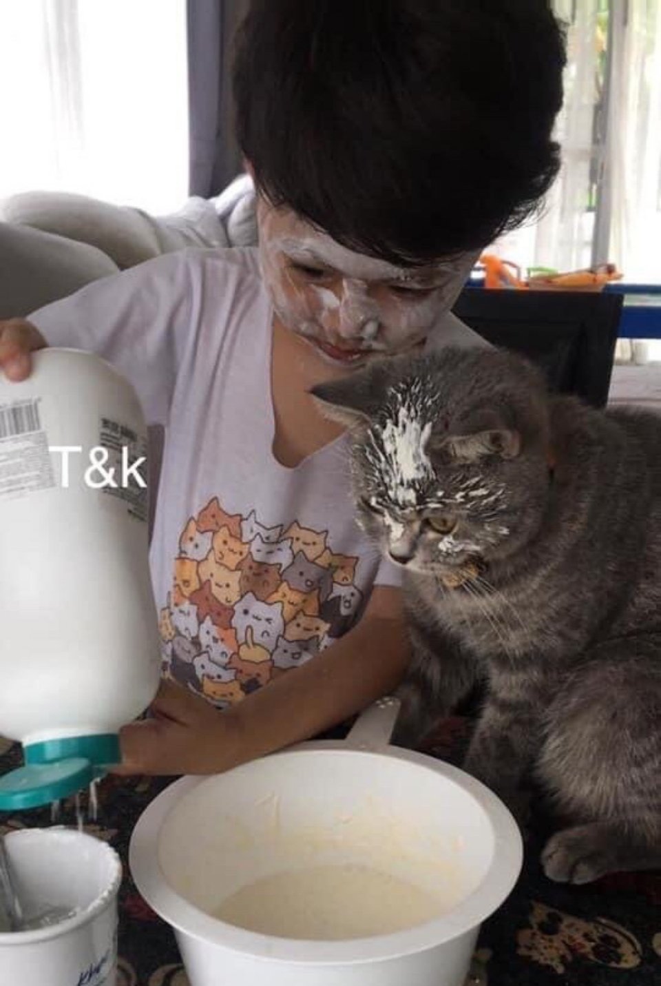 猫猫：反正挨打的不是我 ​​​
