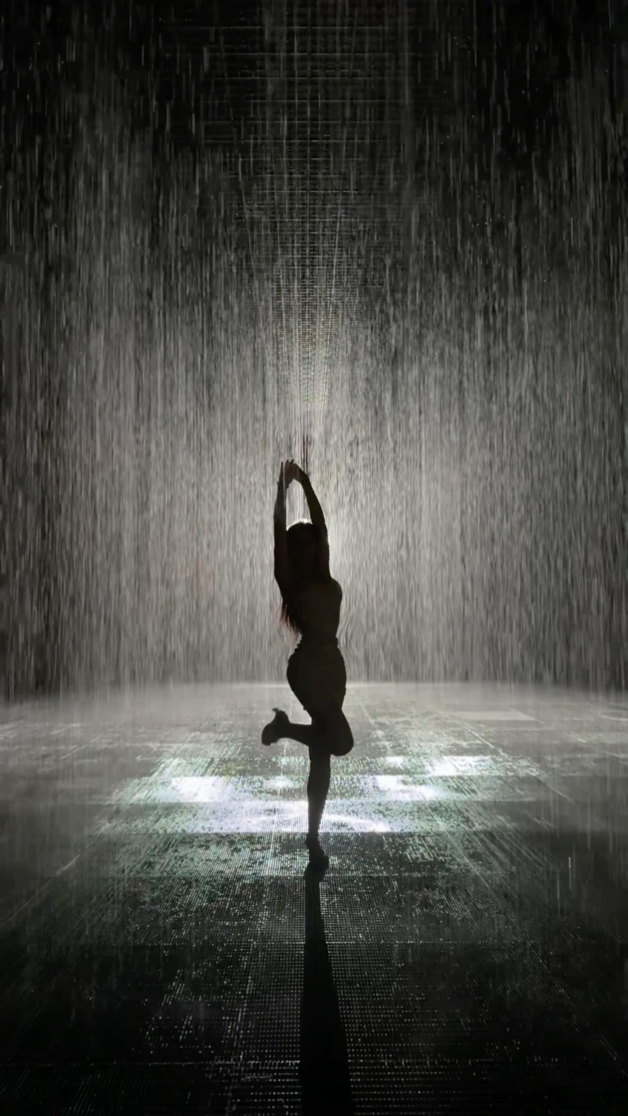 兰舟未渡 香风已至