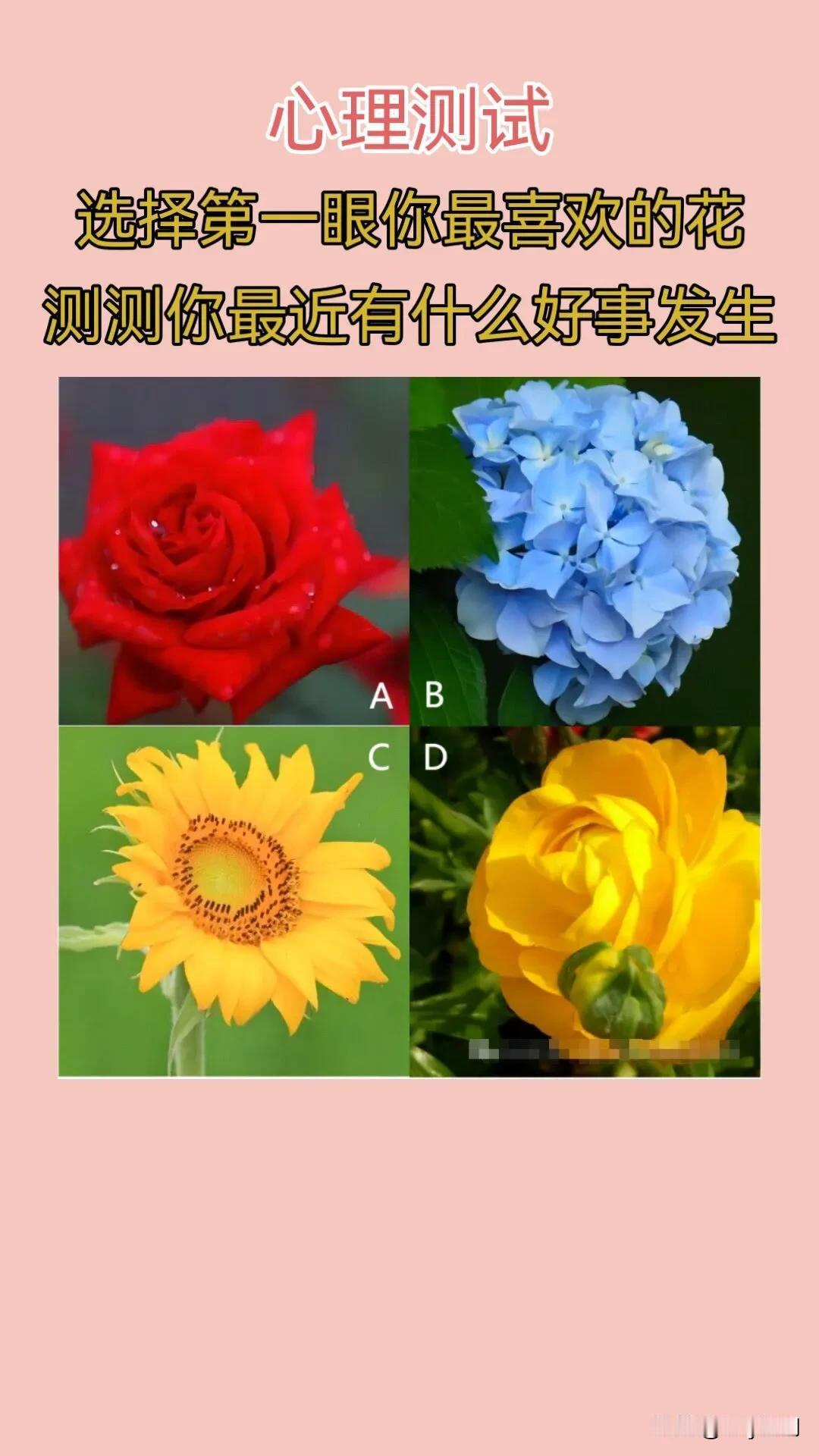 #大地之旅深圳站#心理测试
选择第一眼你最喜欢的花测测你最近有什么好事发生 #醉