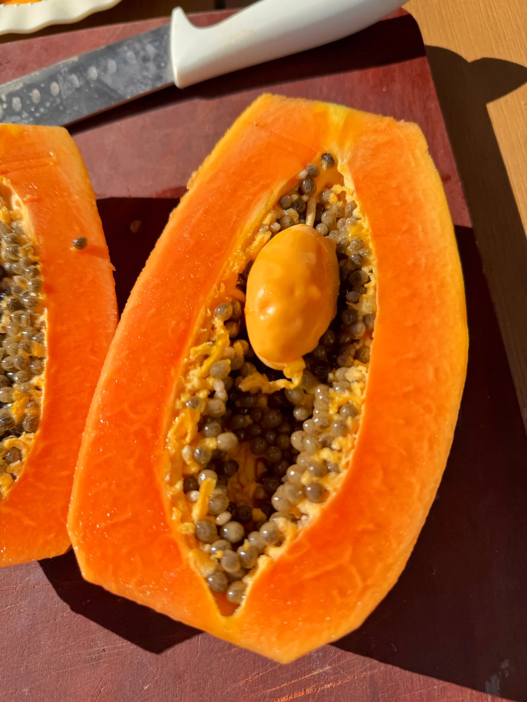 ‼️💨帮我看看这木瓜时怀孕了吗！