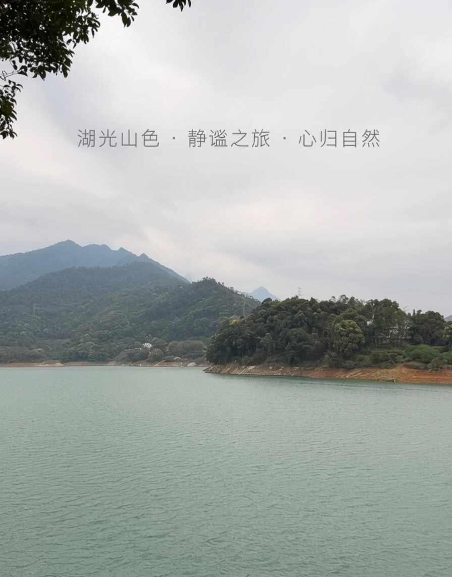 在从化的特种兵12小时～
在从化挖到了宝藏温泉度假地
广东温泉宾馆，老牌国宾馆氛