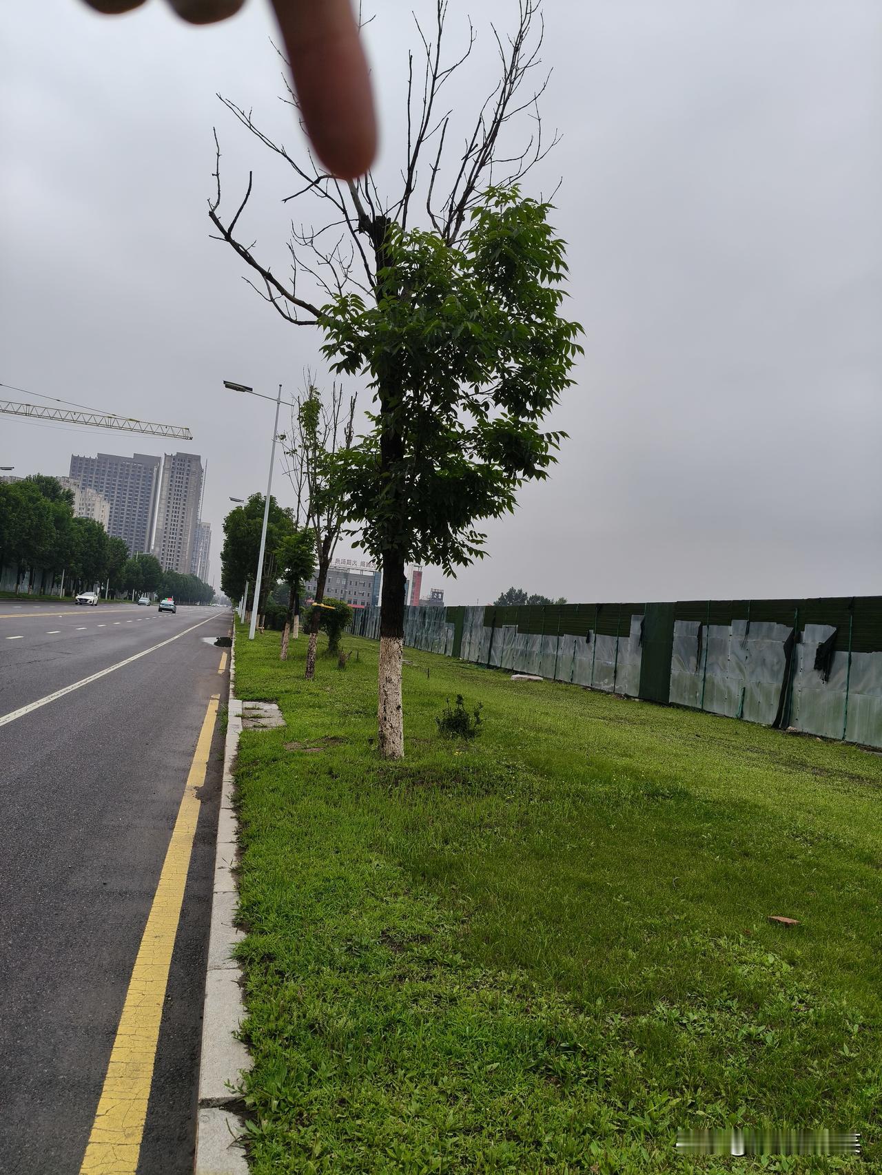 没计划