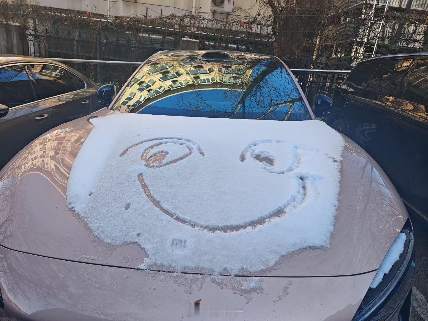 每个清晨都是重启键，要好好把握呀。