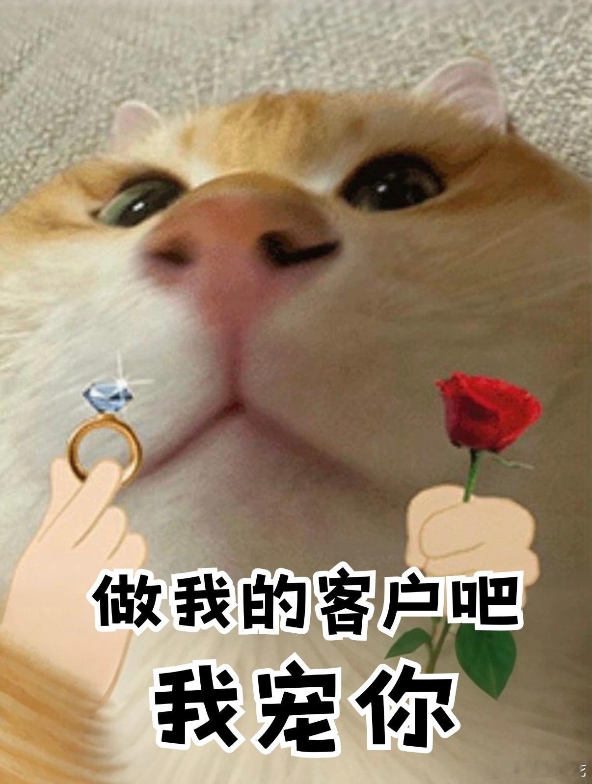 我的天才工作搭子病倒了，没精力和我一起工作了，我又要恢复单打独斗的模式了。😮?