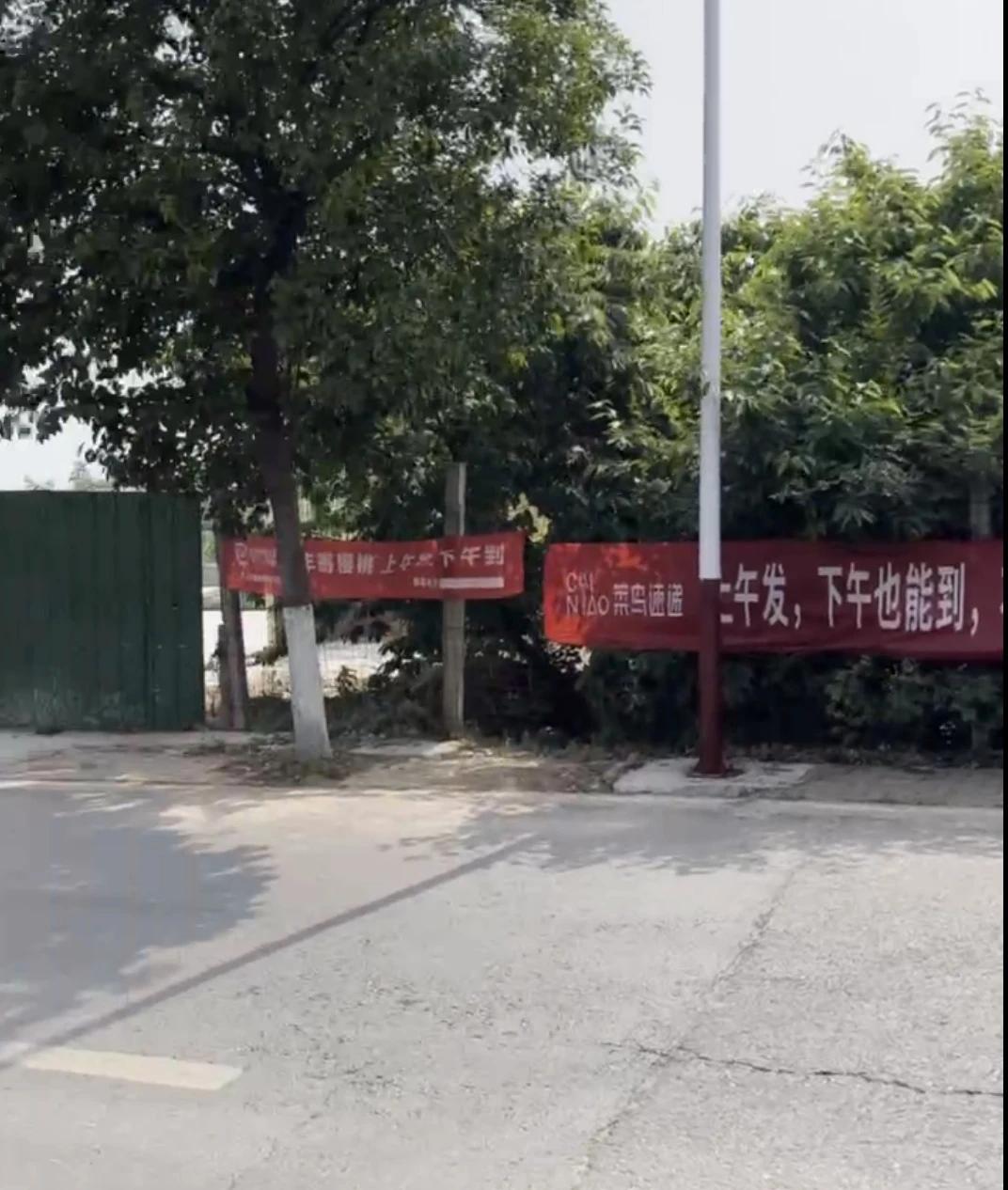 又到一年的樱桃季，那么寄送樱桃选顺丰还是菜鸟？在河南洛阳，樱桃产区的公路两旁，顺