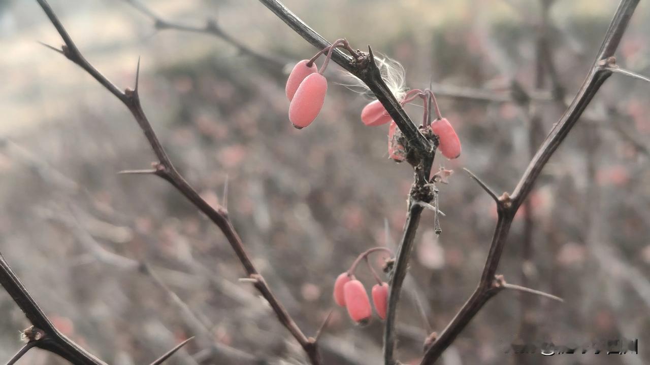 一寸光阴一寸金，寸金难买寸光阴
小时候怎么也理解不了这句话的含义，
当然也就没有