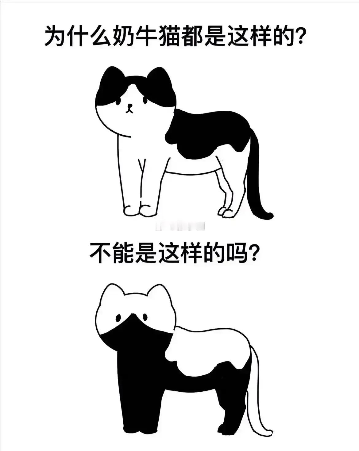 这是盗贼猫吧[捂脸]