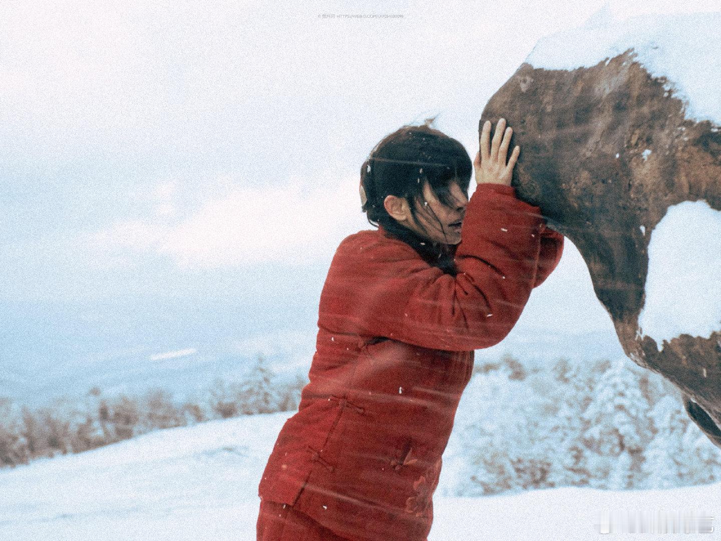 杨幂生万物人生镜头 寒梅不惧雪，宁绣绣在绝境中挣扎。被马子劫走，又被家人抛弃，她