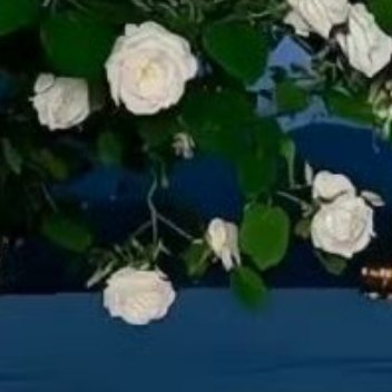 阳光信用 阳光信用每日一善  人之初，性本善。 上善若水，大爱无疆。 慈心为民，