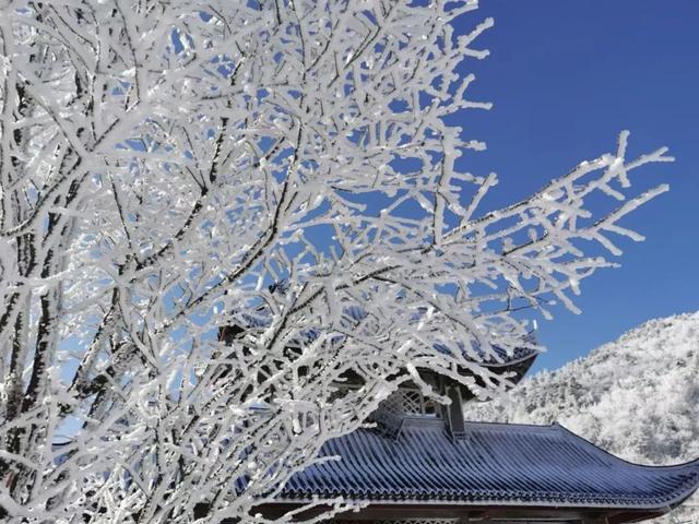 杭州日报 冷空气今晚杀到杭州！又要下雪，气温跌到零下！更崩溃的是它又来了...