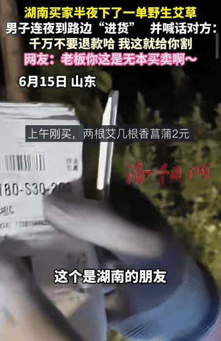 "笑不活了！"山东，男子接到湖南买家半夜下的一单野生艾草。没想到，他连夜到路边"